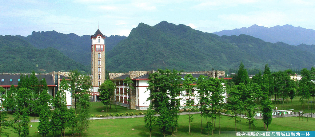 成都东软学院