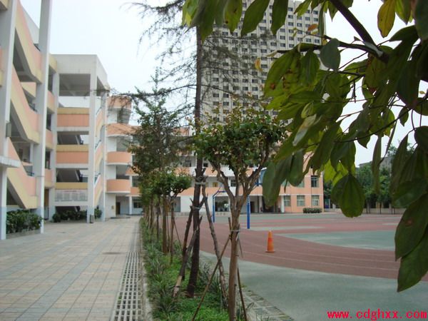 成都市光华小学图片