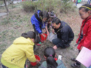 成都市磨子桥小学分校图片