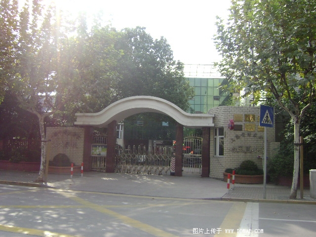 上海市浦东新区白玉兰小学图片