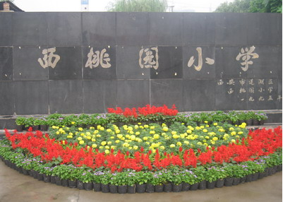 西桃园小学图片