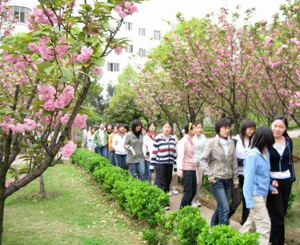 黄石市第二中学（黄石二中）图片