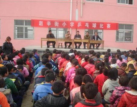 滕州市界河镇赵辛街小学图片