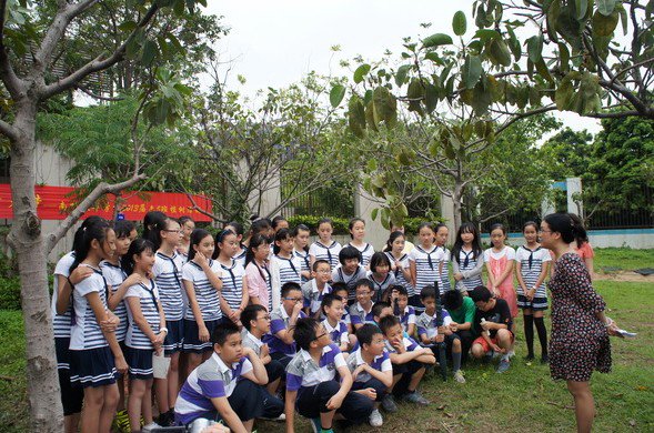 深圳南山外国语学校文华学校小学部图片