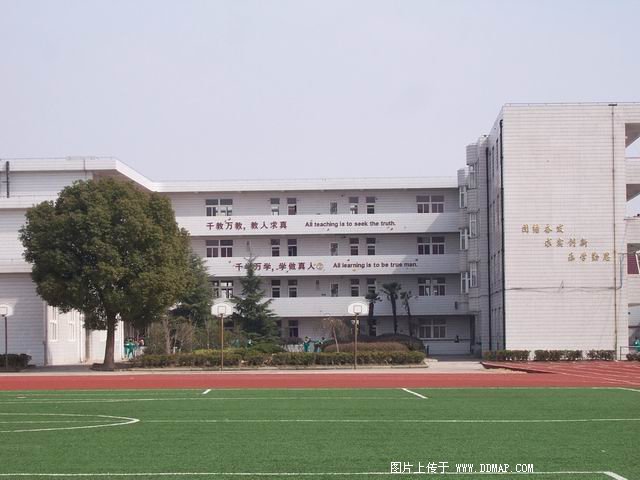 王港镇中心小学图片