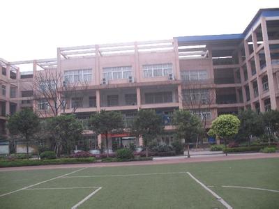 重庆市大渡口区实验小学图片