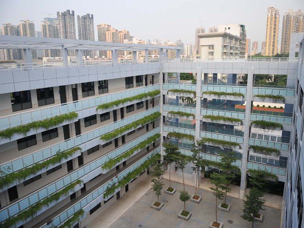 深圳市益强小学图片