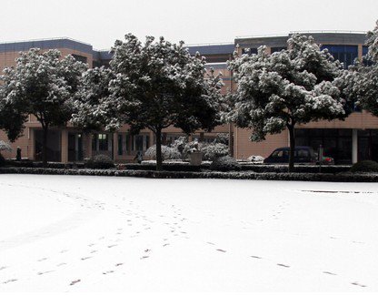 上海市金山区张堰小学图片