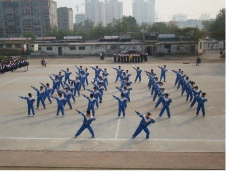 秦皇岛市第十一中学图片