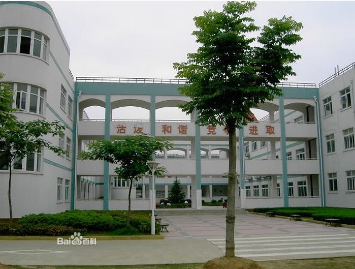 武汉市三角湖小学图片